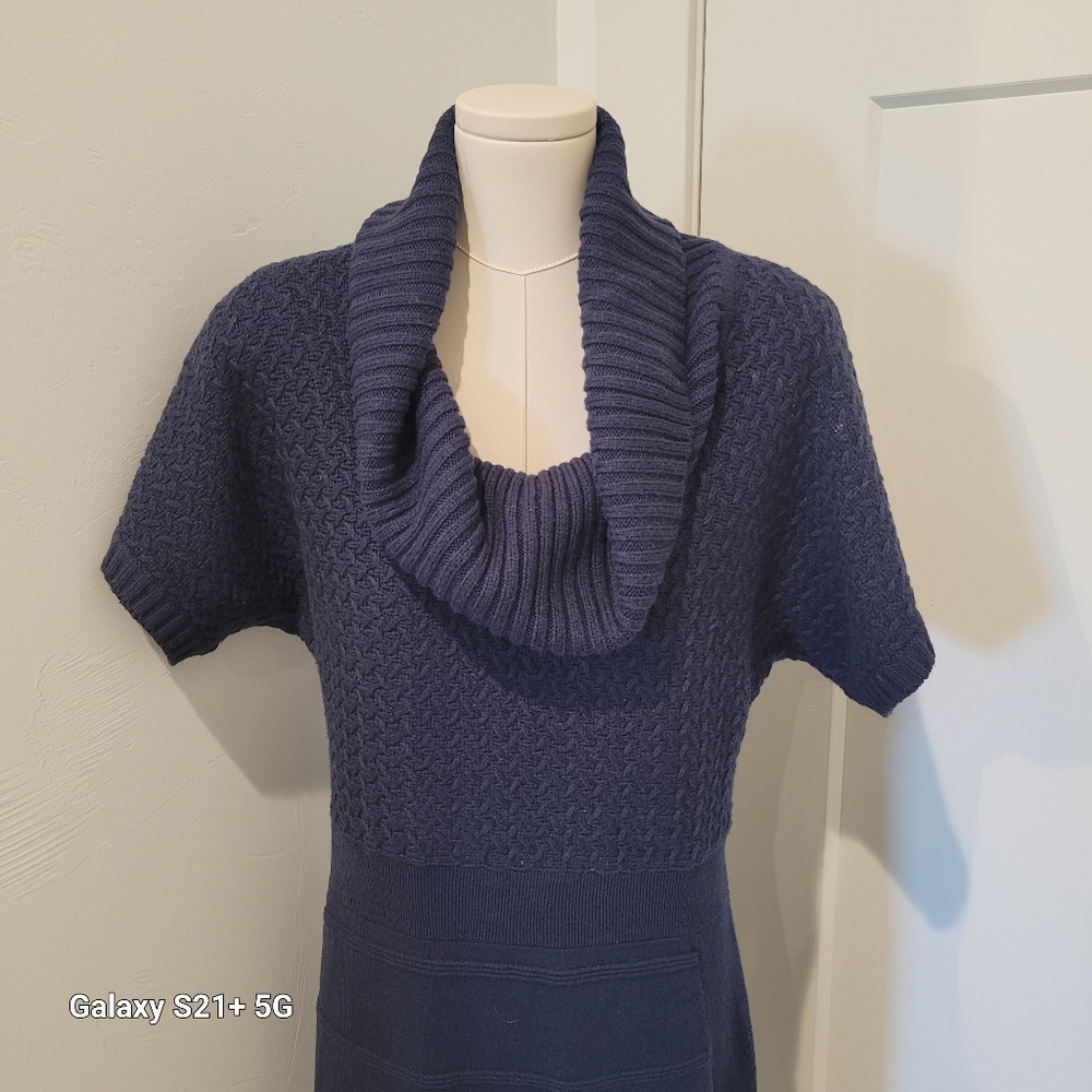 The Limited Sweater Dress